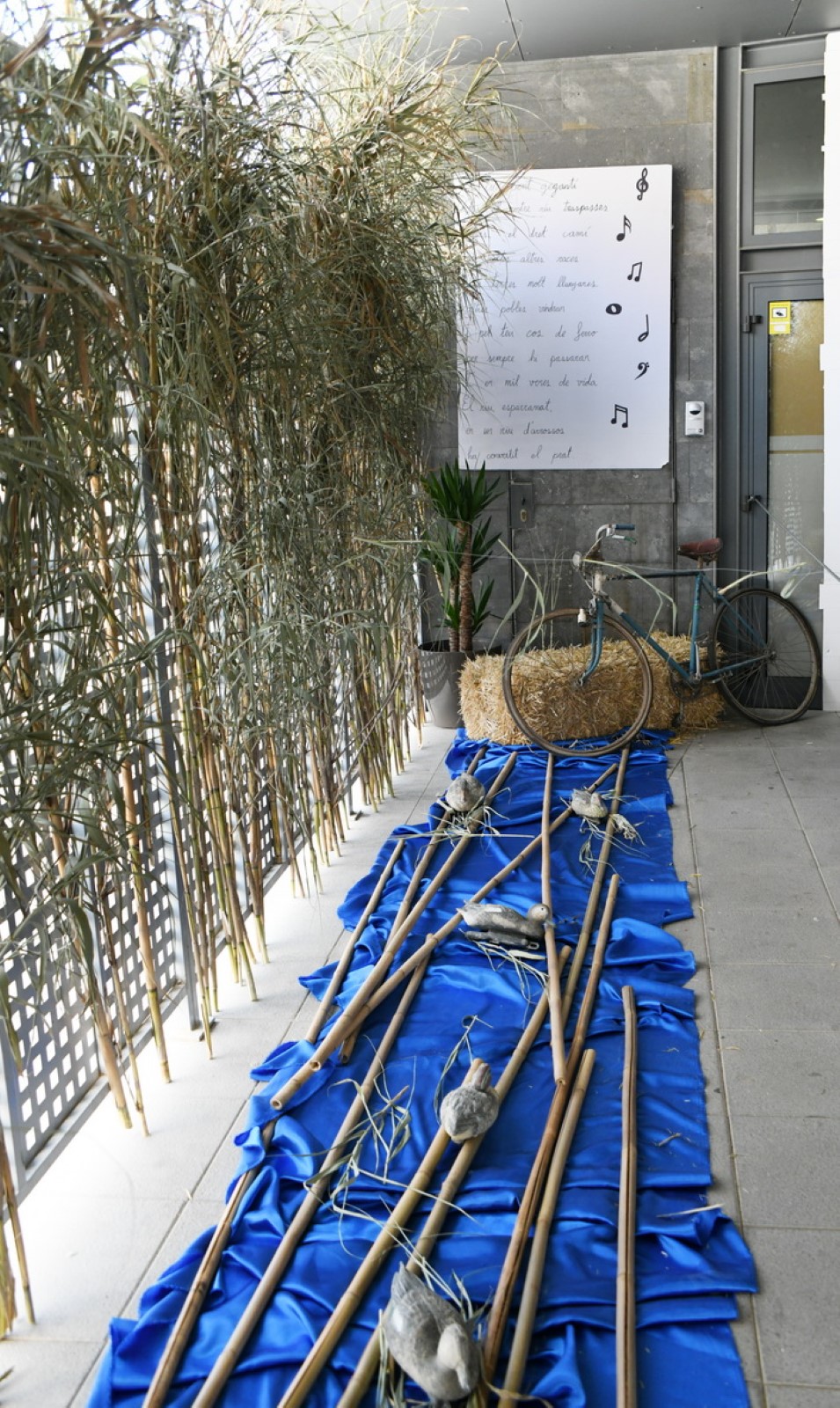 37 institut tecnificacio 02